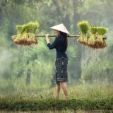 DW: Žene prehranjuju svet 15