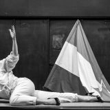 Filip Vujošević: Lik i delo Lepe Brene kao predložak za noviju istoriju 5