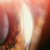 SmartArt - umetnost i nauka u primeni 5