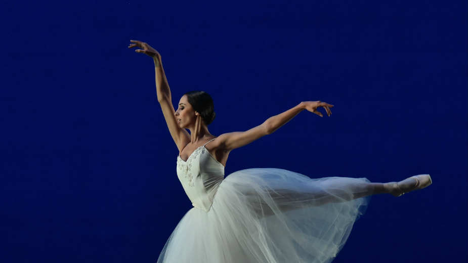 Podrška domaćoj sceni umetničke igre 1