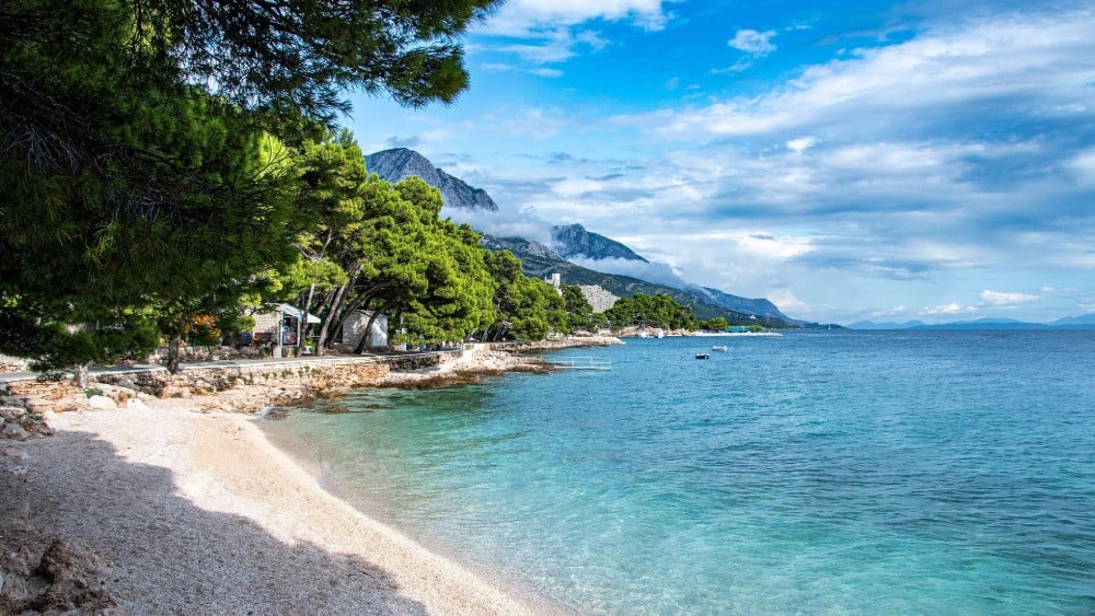 Crno more uništavaju prljave reke, invanzivne vrste i klimatske promene 1