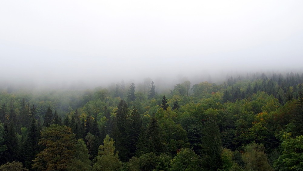 Jutarnja magla otežava saobraćaj 1 Jutarnja magla otežava saobraćaj 1