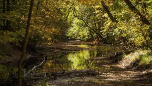 NVO upozorile: Zbog izgradnje brana i mini hidroelektrana nestaje hiljade kilometara reka na Balkanu 1