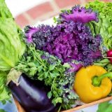 Nove mere na pijacama JKP Tržnica u Novom Sadu 2