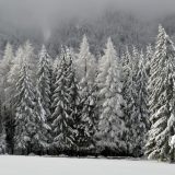 Prvi sneg pao na Staroj planini i Kopaoniku 10