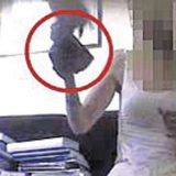 O kazni za profesore nakon pravosnažne presude 14