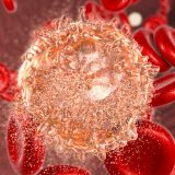 Kriza donorstva sve veća, ko će da pomogne obolelima od leukemije? 8