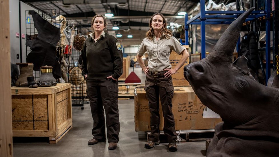 Elisa Dalberg i Sara Mecer objašnjavaju kako zaustaviti globalnu trgovinu divljih životinja