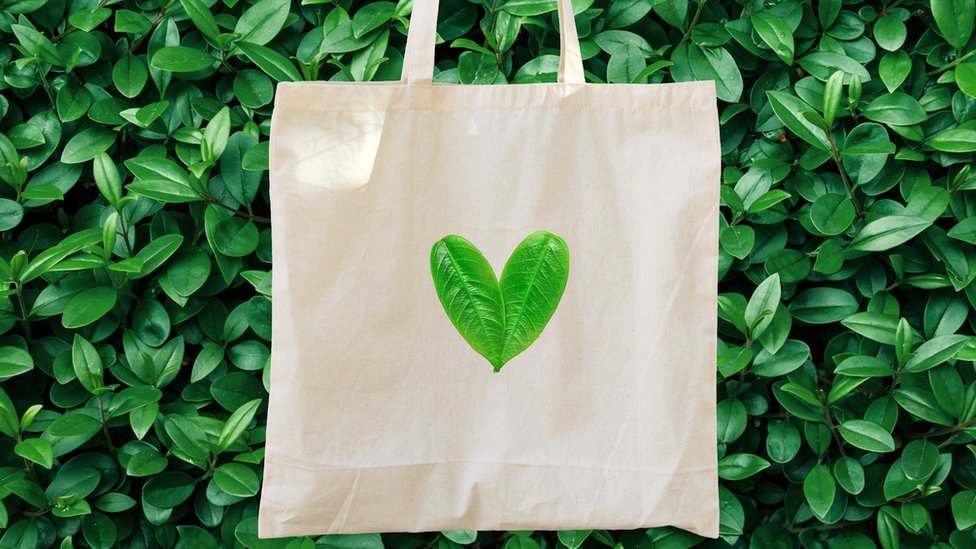 Kako su cegeri postali podjednako štetni kao najlonske kese - ili još gori 4 Blank white linen cotton tote bag on green bush trees foliage background