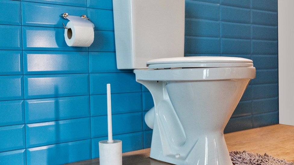 Toalet u doba društvenih mreža: Predugo sedite na šolji - ovaj izum će to sprečiti 1 toalet