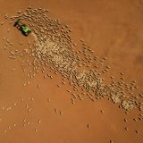 Najupečatljivije fotografije iz 2019. sa svih strana sveta 3