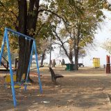 Osim SNS i SPS, u smederevskoj Skupštini i UDS, Metla i Šapić? 11