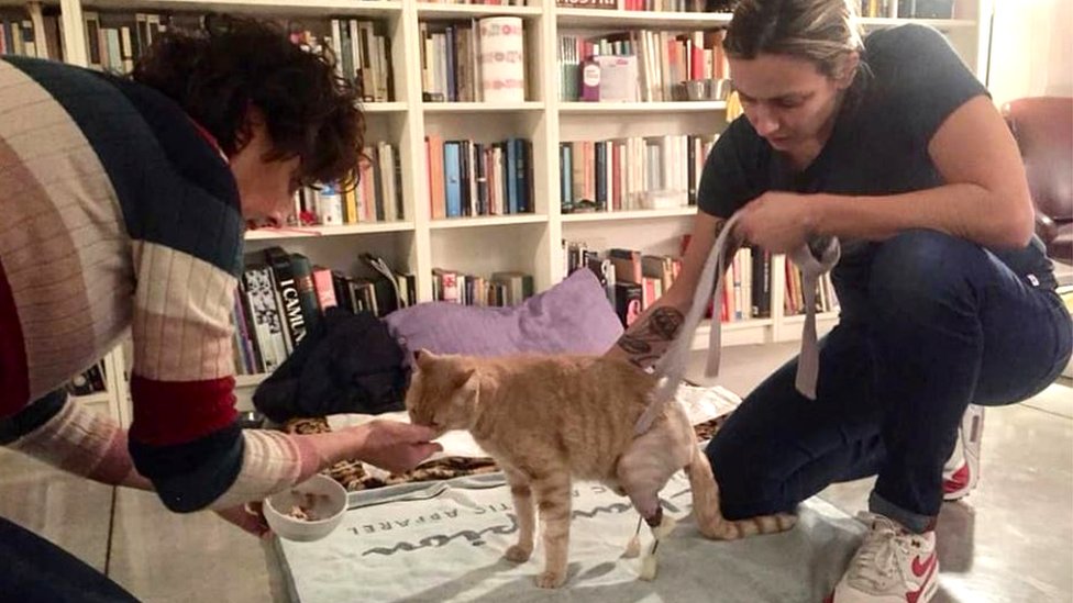 Silvija Gotardi (desno) i Linda Ronconi sa Vitom nedugo pre nesreće