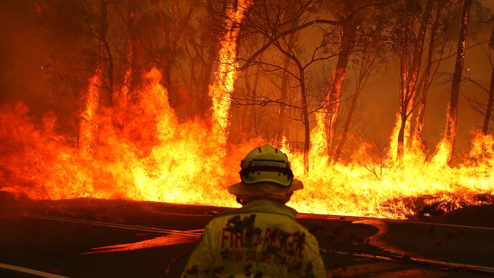 Požari u Australiji: Hiljade dobrovoljaca u borbi protiv plamena 1 A firefighter faces a huge blaze that has engulfed several trees