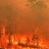 Žestok požar na obali Francuske, turistički kampovi evakuisani 11