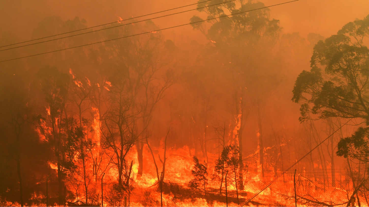 Zbog ekstremnih uslova vatra u Australiji i dalje besni 1