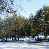 Miroslav Ilić za doček Nove godine na Zlatiboru 11