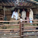 Temišvar: Banatska božićna čarolija 5