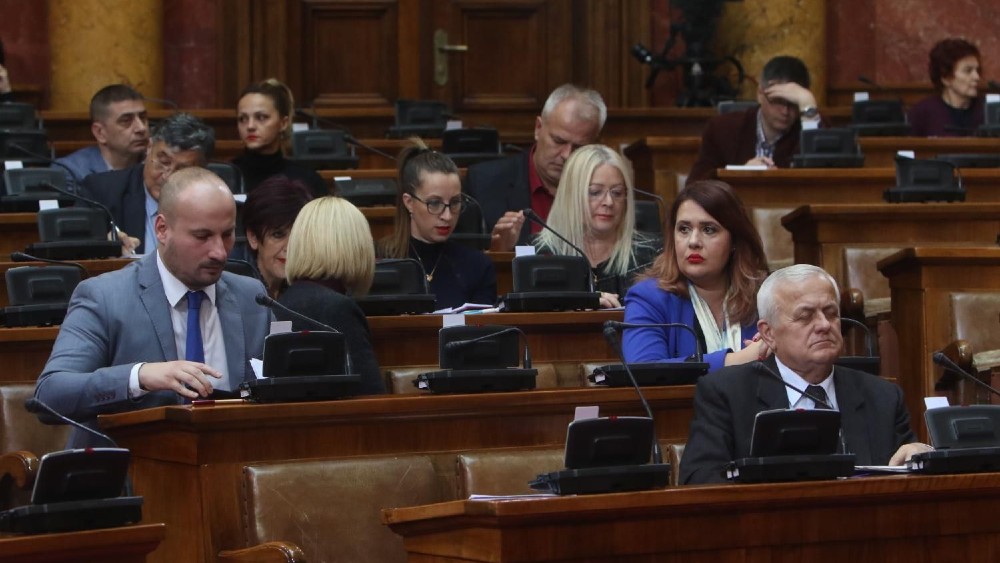 Sonja Pavlović o dnevnom redu Skupštine: Političke izmene zakona 1