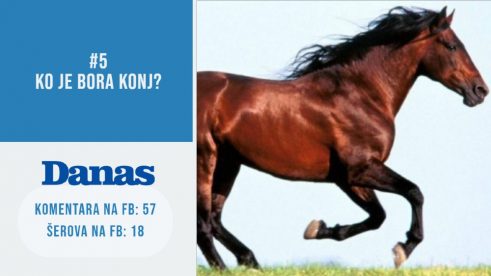 "Kupac Megatrenda" i ove nedelje u fokusu (VIDEO) 6