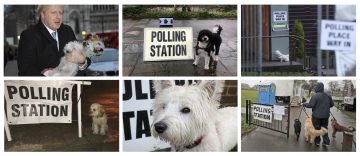 Britanci na glasanje doveli pse, mačke, konje, doneli morske prasiće (FOTO) 5
