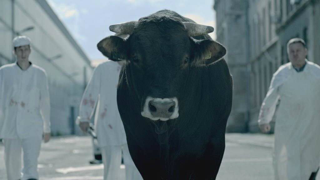 Dani slovenačkog filma u utorak u Smederevu i slovenački glumci 1