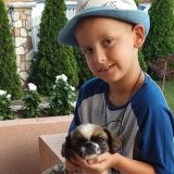 Za lečenje malom Miliji fali 30.000 evra 10