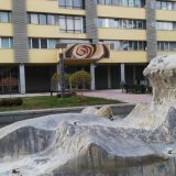 Apatija guši građanski aktivizam kao zagađeni vazduh Kraljevčane  2