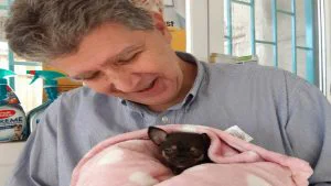 Da li je oblačenje pasa postalo potreba ili moda? 3 Da li je oblačenje pasa postalo potreba ili moda? 8