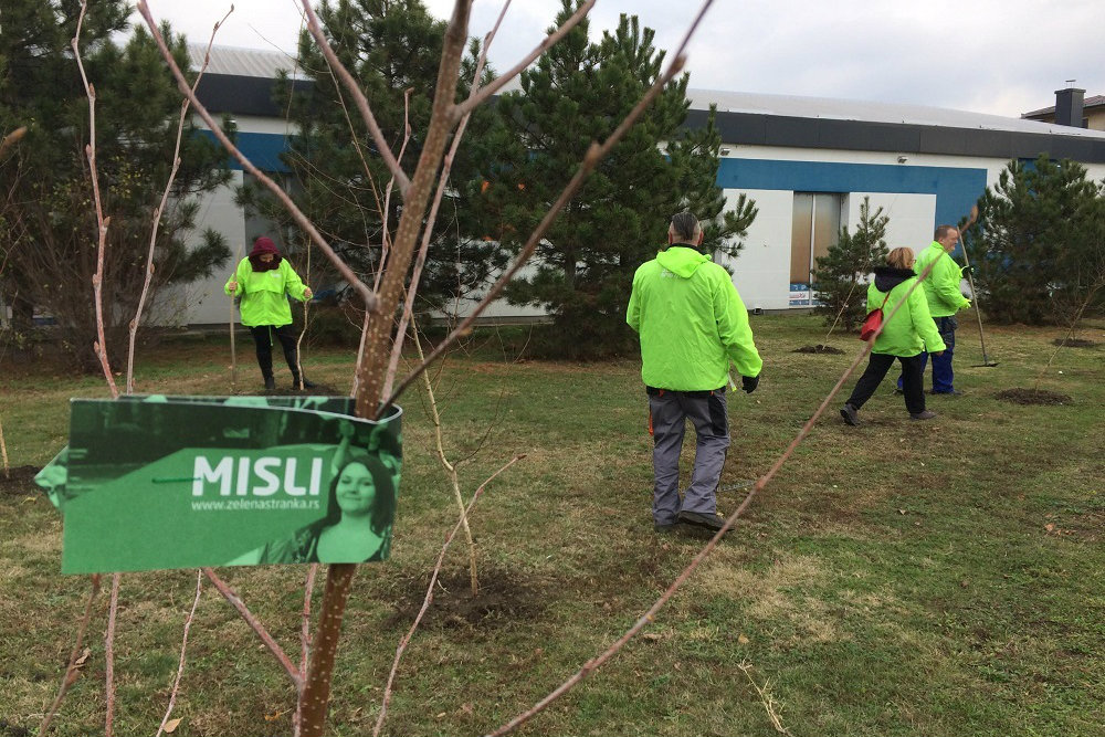 Zelena stranka u Zrenjaninu počela akciju sadnje 5.000 stabala novog drveća 1