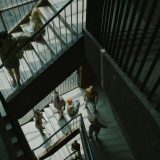 Garaž-pank sa elementima Jungove teorije 15