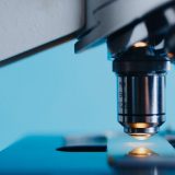 Šta je ameba Naegleria fowleri "koja jede mozak" i koliko je opasna po ljude? 6