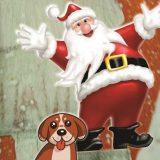 Šašava novogodišnja bajka u Zaječaru 3