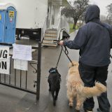 Britanci na glasanje doveli pse, mačke, konje, doneli morske prasiće (FOTO) 2