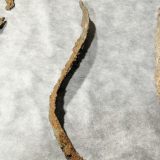 Igranje oružjem i oruđem - ,,normalni“ deo svakog (praistorijskog) detinjstva 7