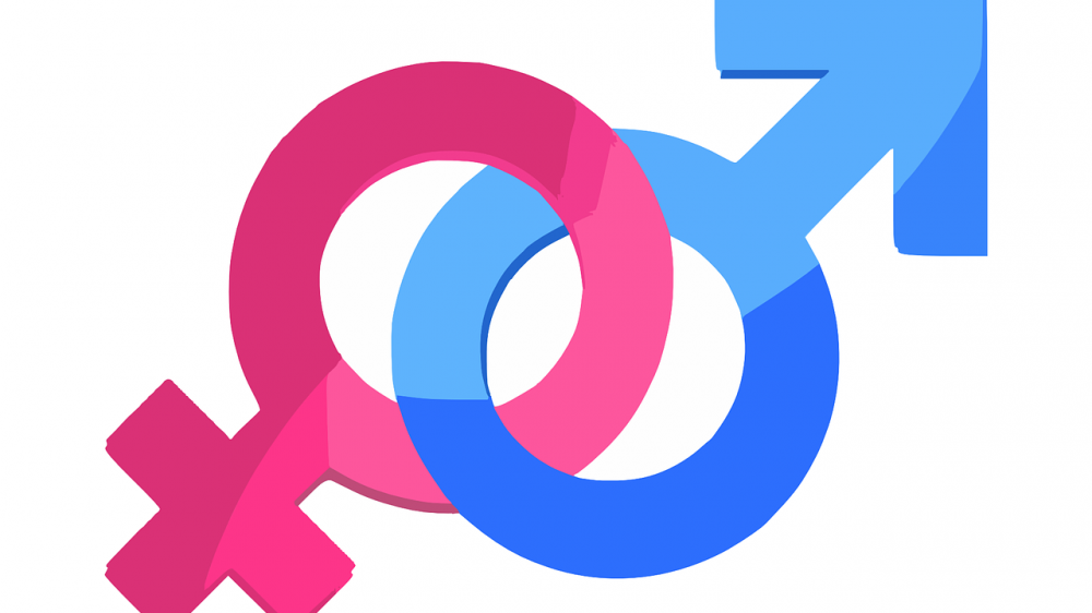 Reč godine 2019. je rodno neutralno "oni" 1