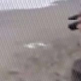 Otvaranje decembarskih izložbi u Kulturnom centru Beograda 14