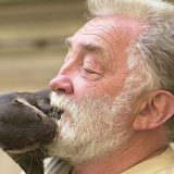 Direktna veza s prirodom umesto kućnih video-klipova sa životinjama 1