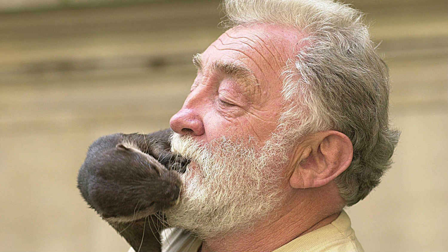 Direktna veza s prirodom umesto kućnih video-klipova sa životinjama 1