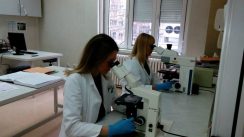 Produžena ruka transplantacije (FOTO) 3