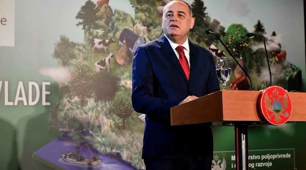 Iskoraci domaćinski, preduzetnički i evropski 1