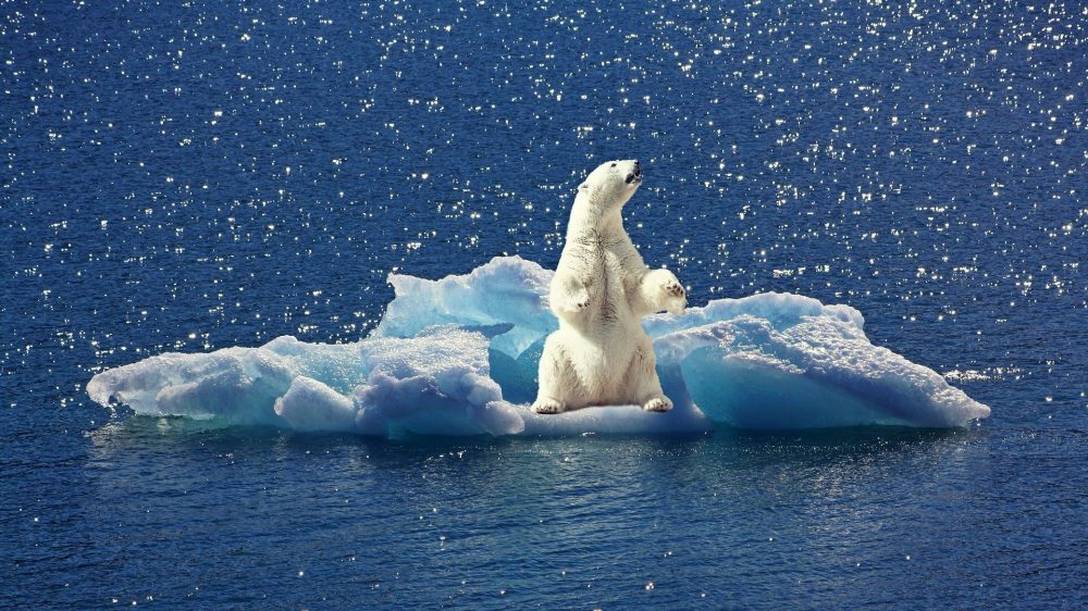 U kom trenutku bi Severni ledeni okean mogao da ostane bez leda? 2