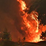 Više od 120 kuća uništeno u požaru u Čileu 9