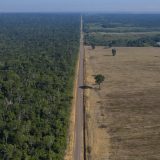 Udvostručeno uništavanje prašuma Amazonije 1