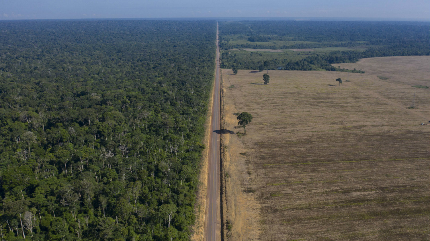 Udvostručeno uništavanje prašuma Amazonije 1