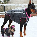 Da li je oblačenje pasa postalo potreba ili moda? 2