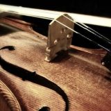 Koncert zagrebačkog kvarteta u Skupštini Beograda 15