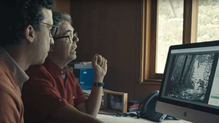 Gugl velikim brojem skrivenih kamera spasava životinje (VIDEO) 1