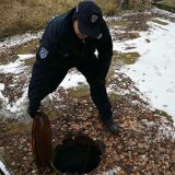 Malčanski Berberin nije član SNS 4