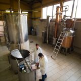 Kako je stvoren prvi srpski konjak od šljivovice? 4